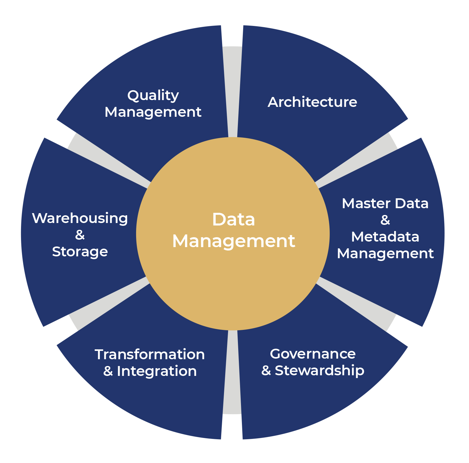 Impact of Ineffective Data Management Practices on Risk Management -  Treliant